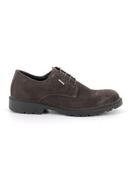 Zapatos Igi&Co goretex caffé