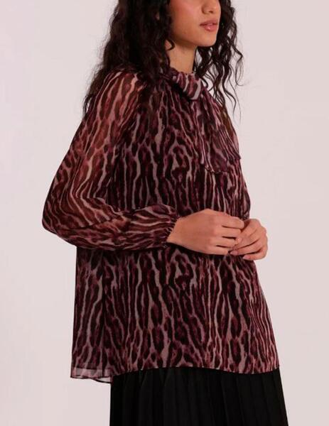 Gallery a16496 2cvfwoss