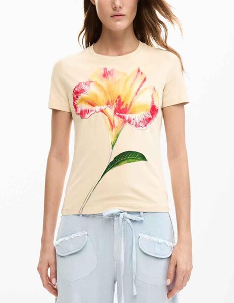 Gallery a17929 31wt6xg8