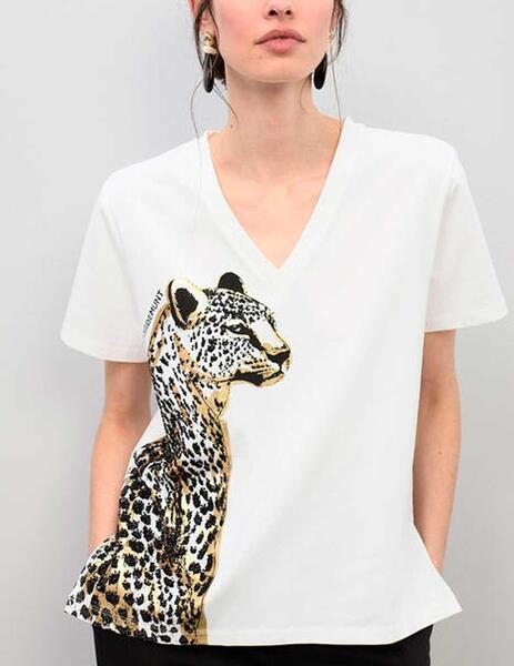 Gallery a17742 7fddivqx