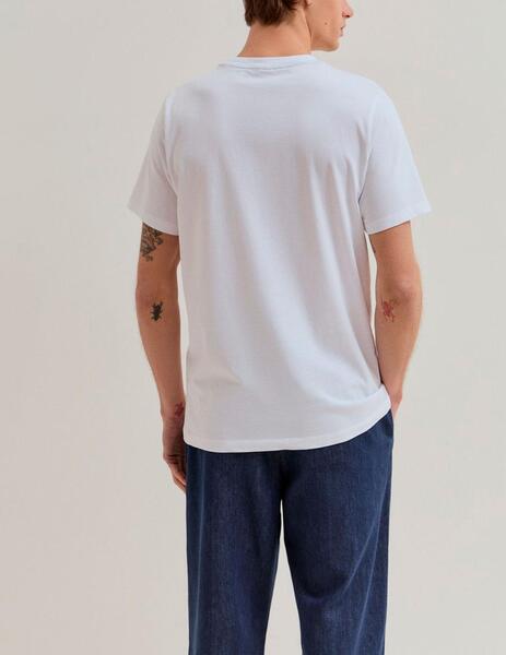 Gallery a18395 jaxzv12m