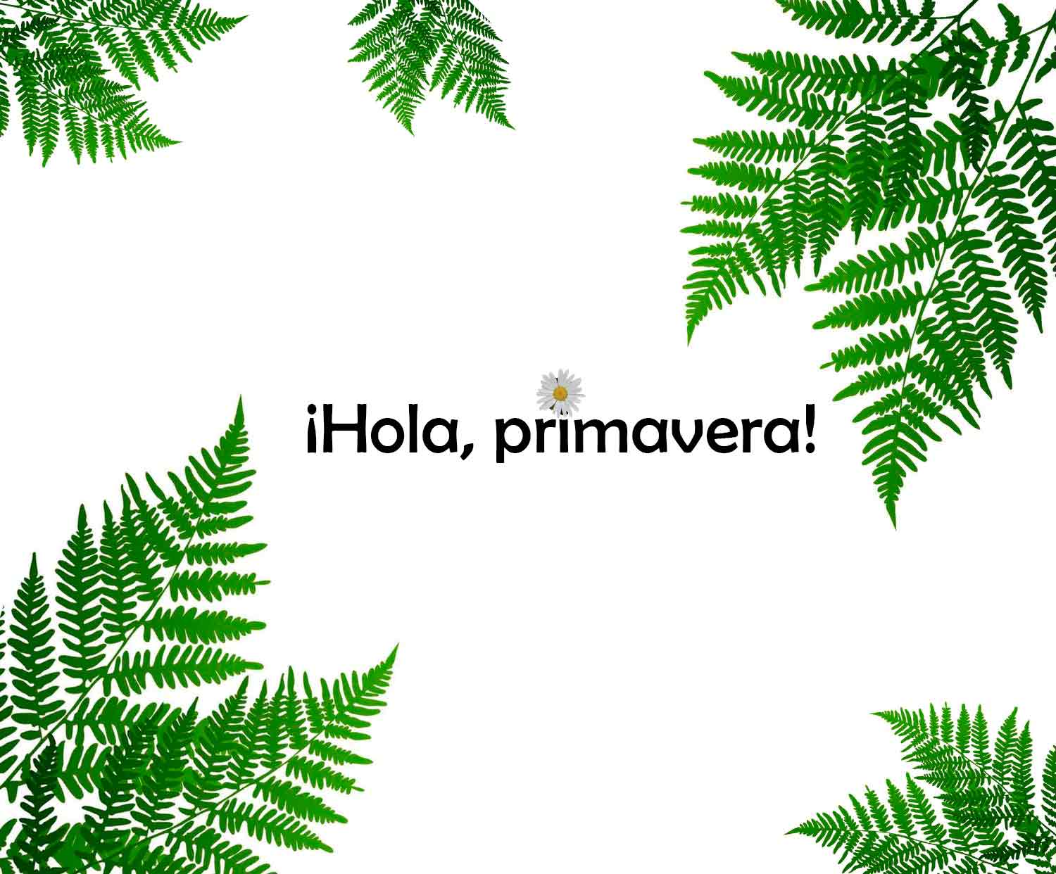 Imagen del slide