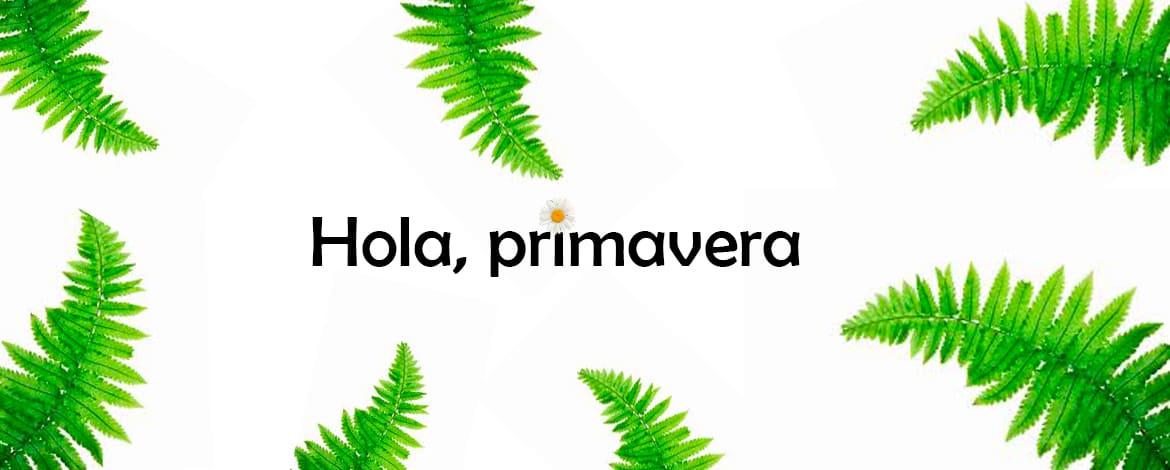 Imagen del slide